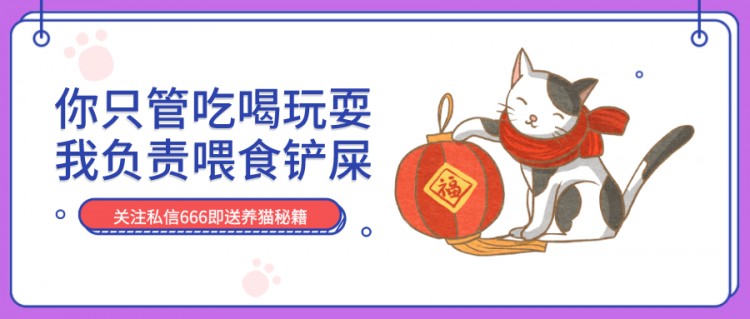 地震发生的时候，我第一时间想到的是我的猫