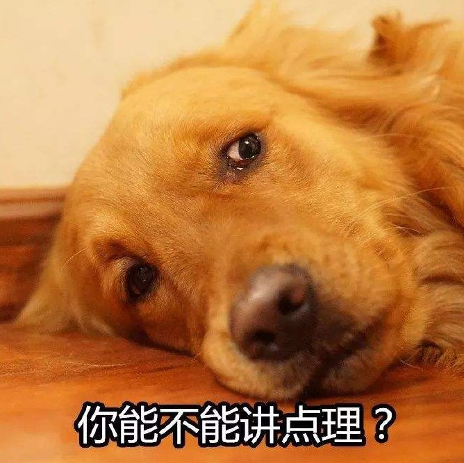 金毛犬掉毛对儿童有危害吗？这几点不容忽视